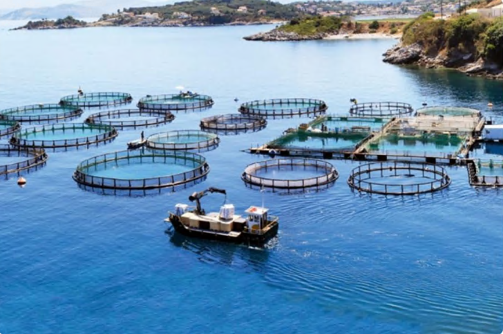 Balık Çiftliği Otomasyonu